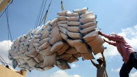 Gạo Việt Nam rộng đường xuất khẩu